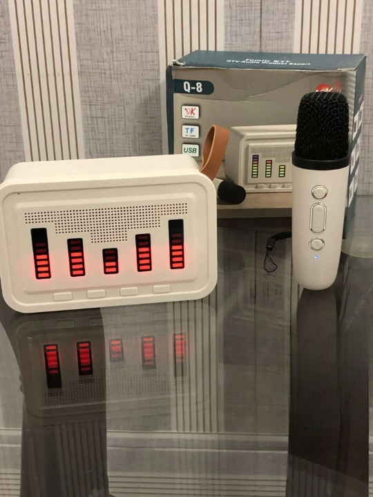 Portable Bluetooth Karaoke Outdoor Speaker System